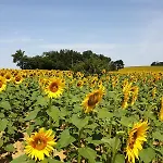 En Francaison En Lomagne Gersoise Hébergement de vacances